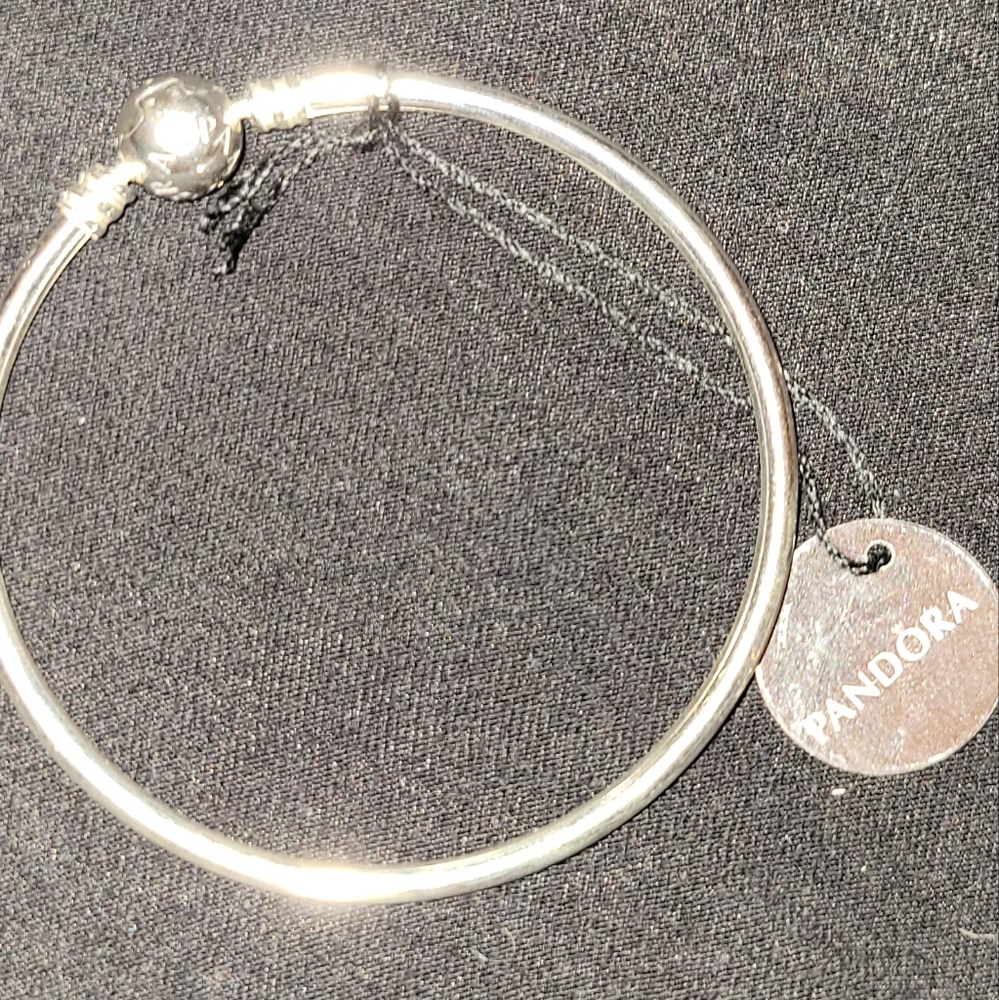 Pandora - Moments Bangle